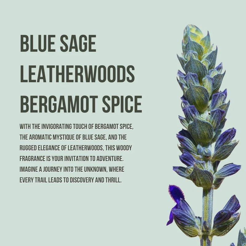 Set Corporal Mist & Loción "Come Find Me" - Beauty Creations