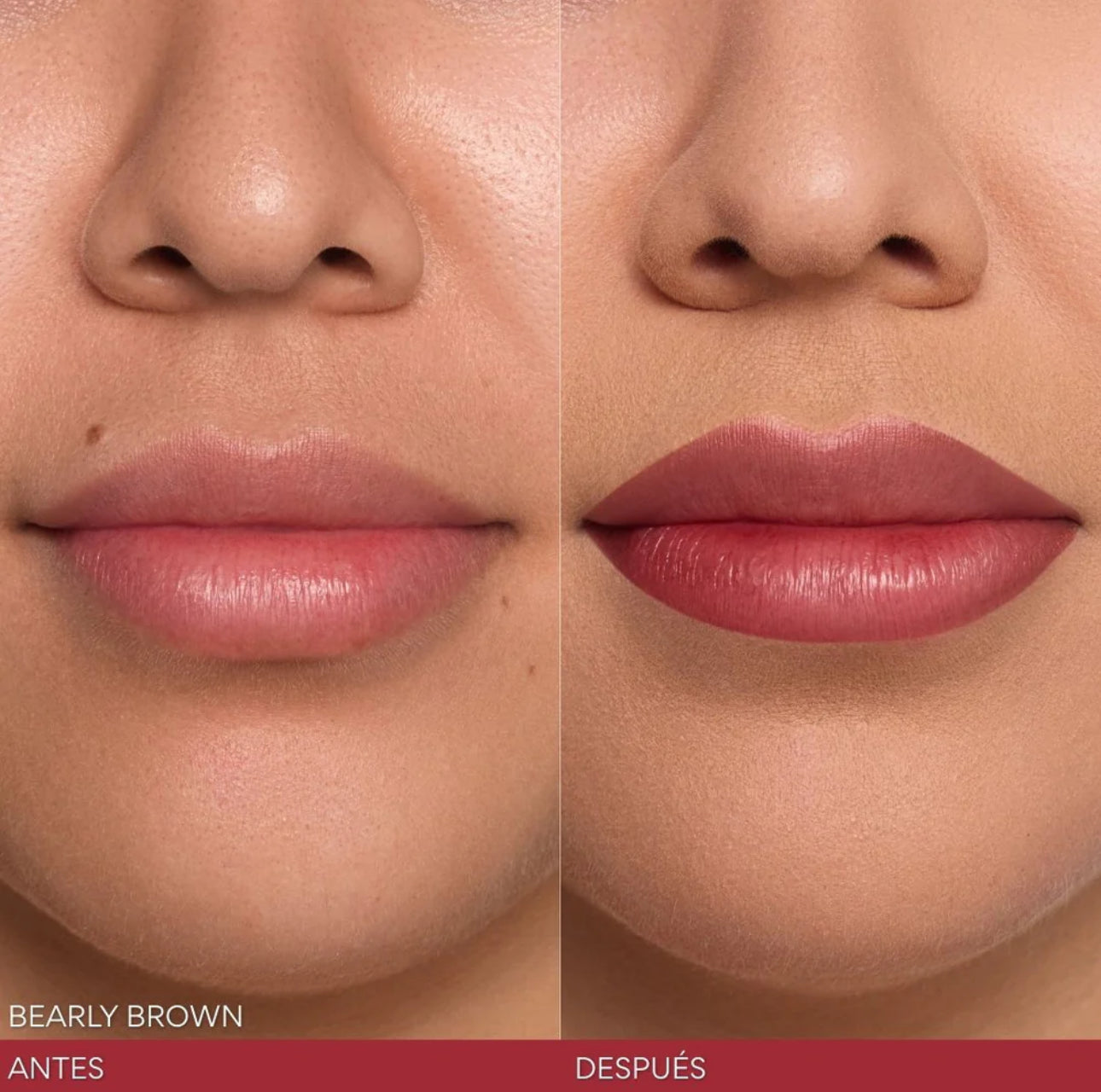 Bearly Brown KISS ME Beauty Creations