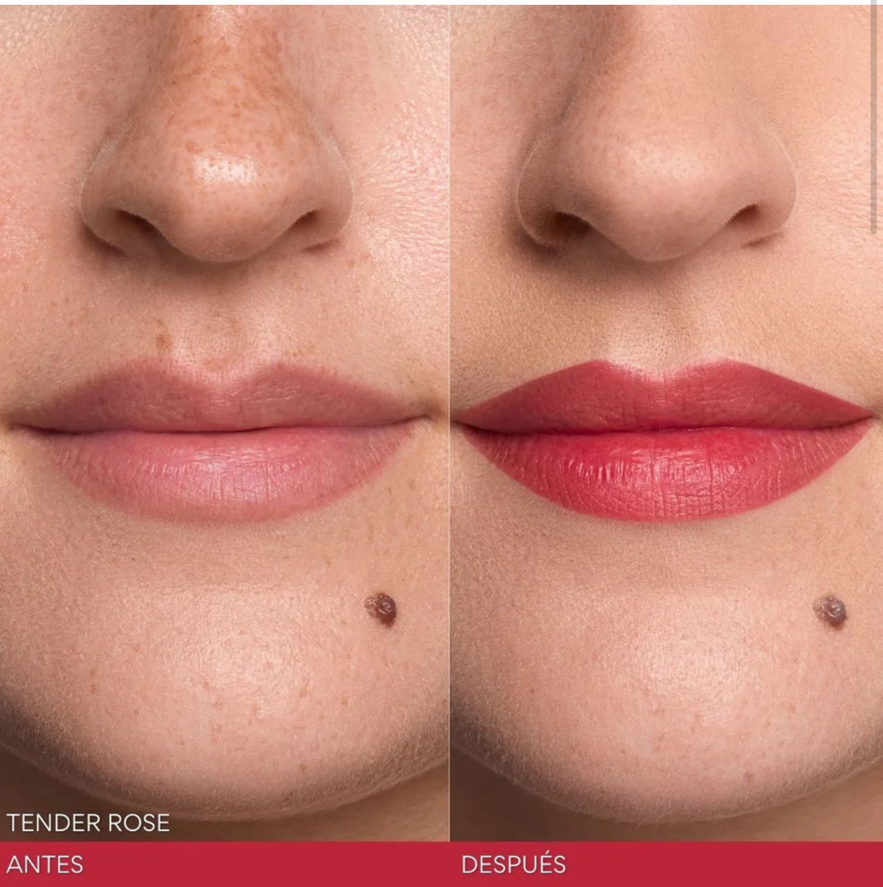 Tender Rose KISS ME Beauty Creations