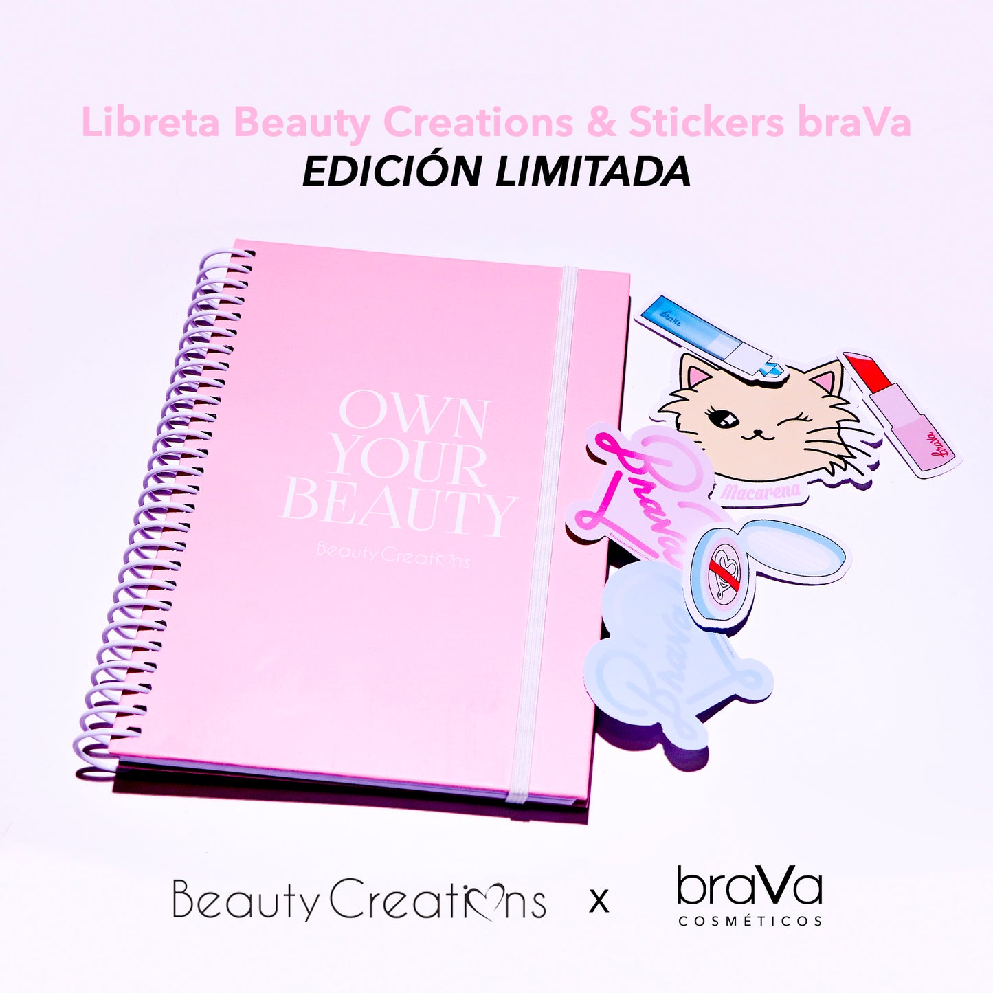 Libreta & Stickers Beauty Creations x braVa